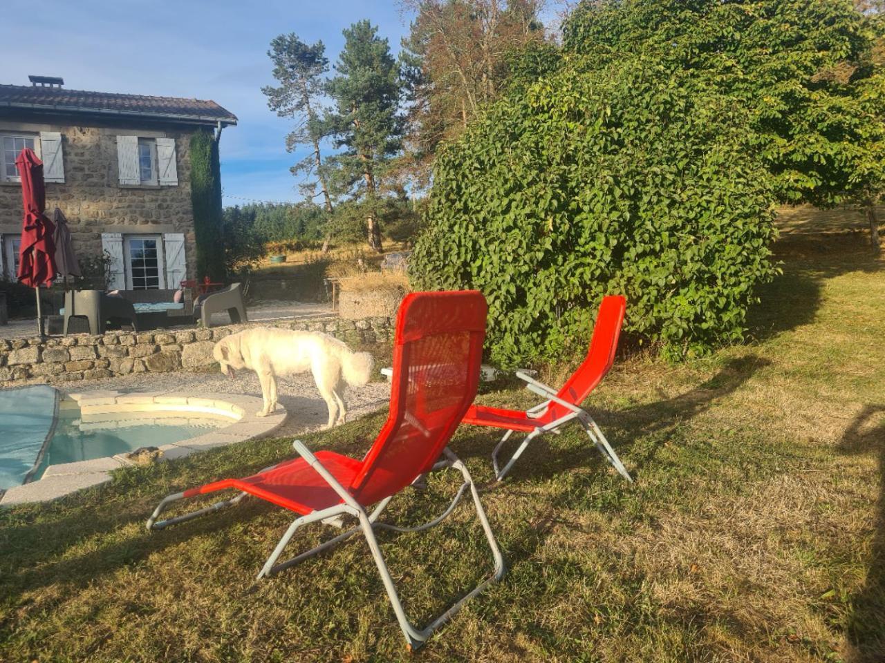 Room Lover Les Chaizes Saint-Romain-Lachalm Exterior photo
